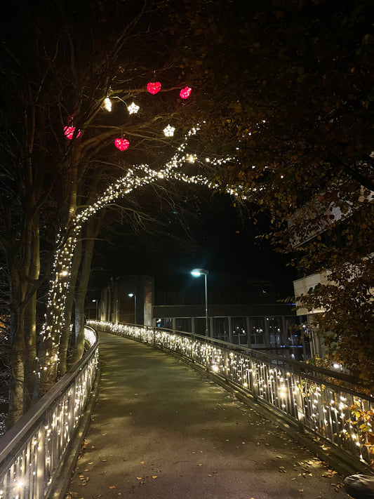 Connectable Outdoor LED Christmas Lights