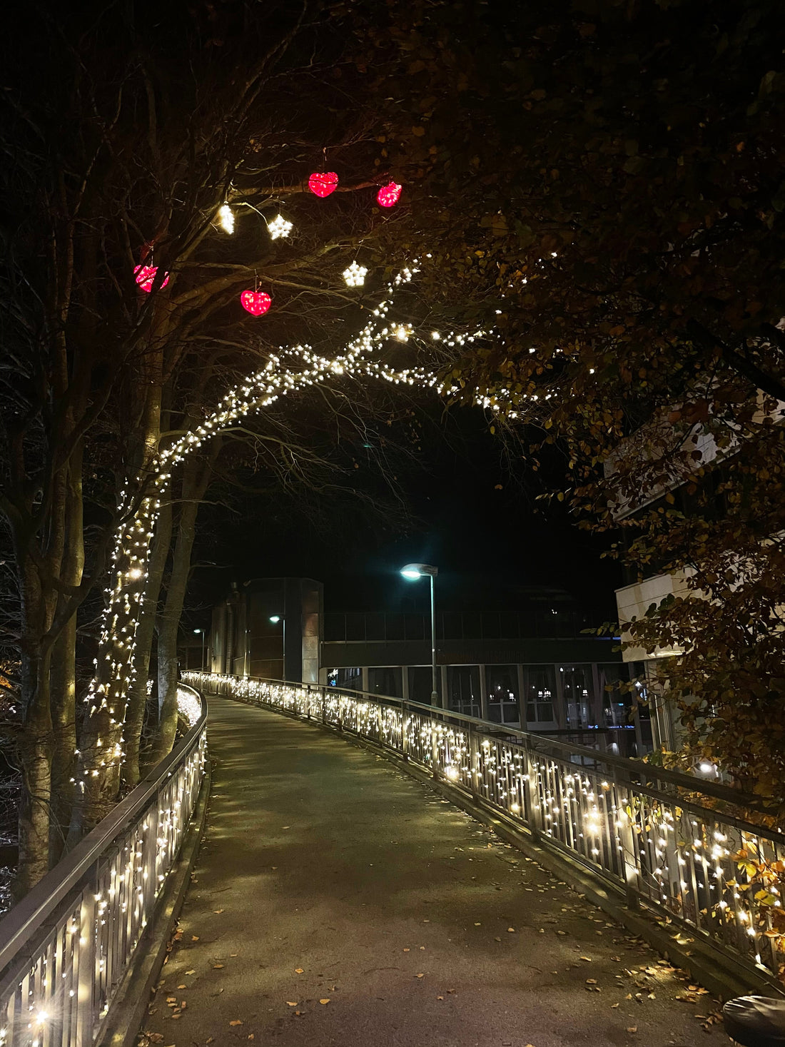 How to Connect Outdoor LED Christmas Lights - Santa's Light Shop